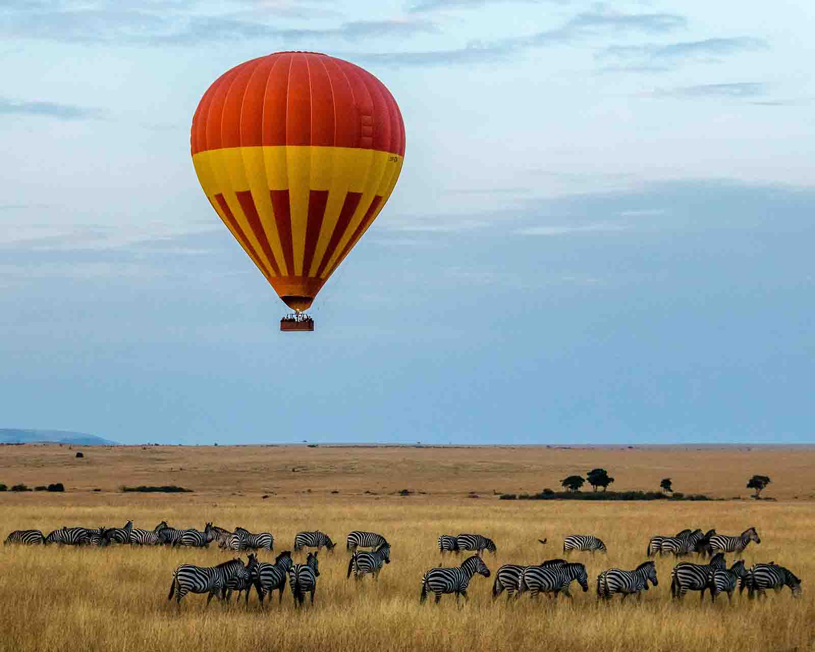 Best Africa