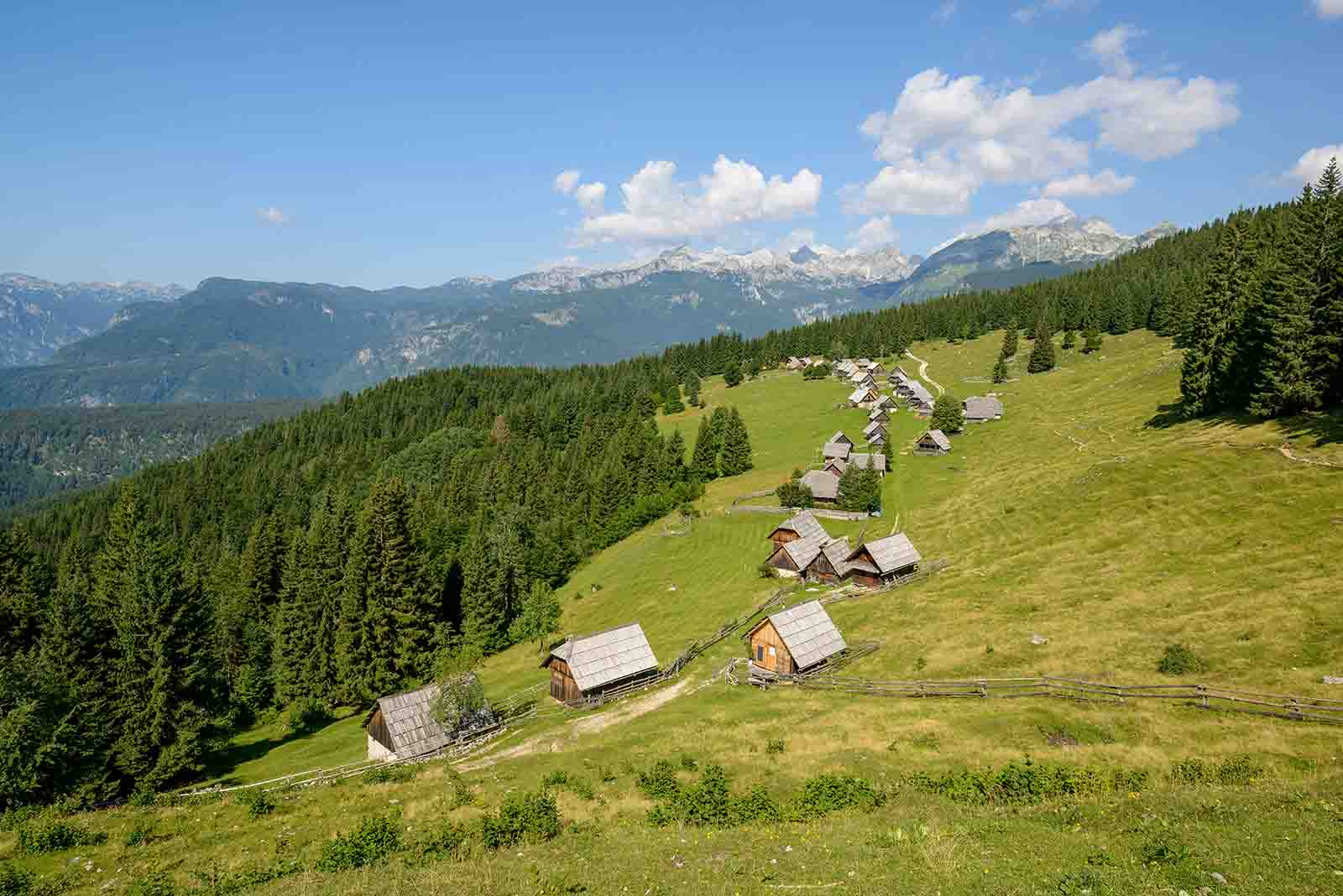 Bosnia & Herzegovina