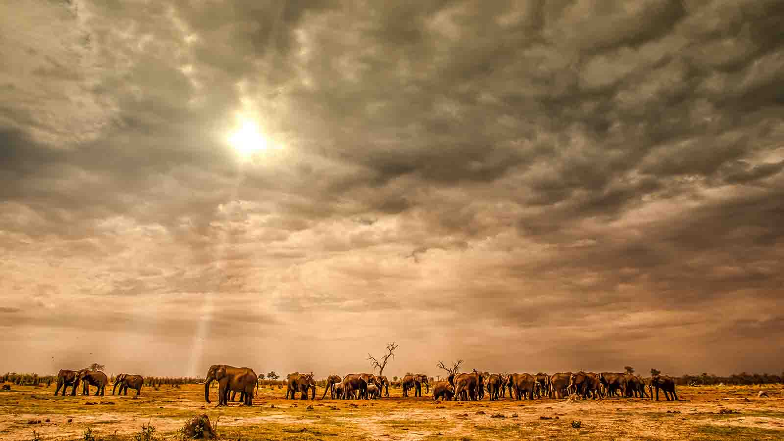 Botswana