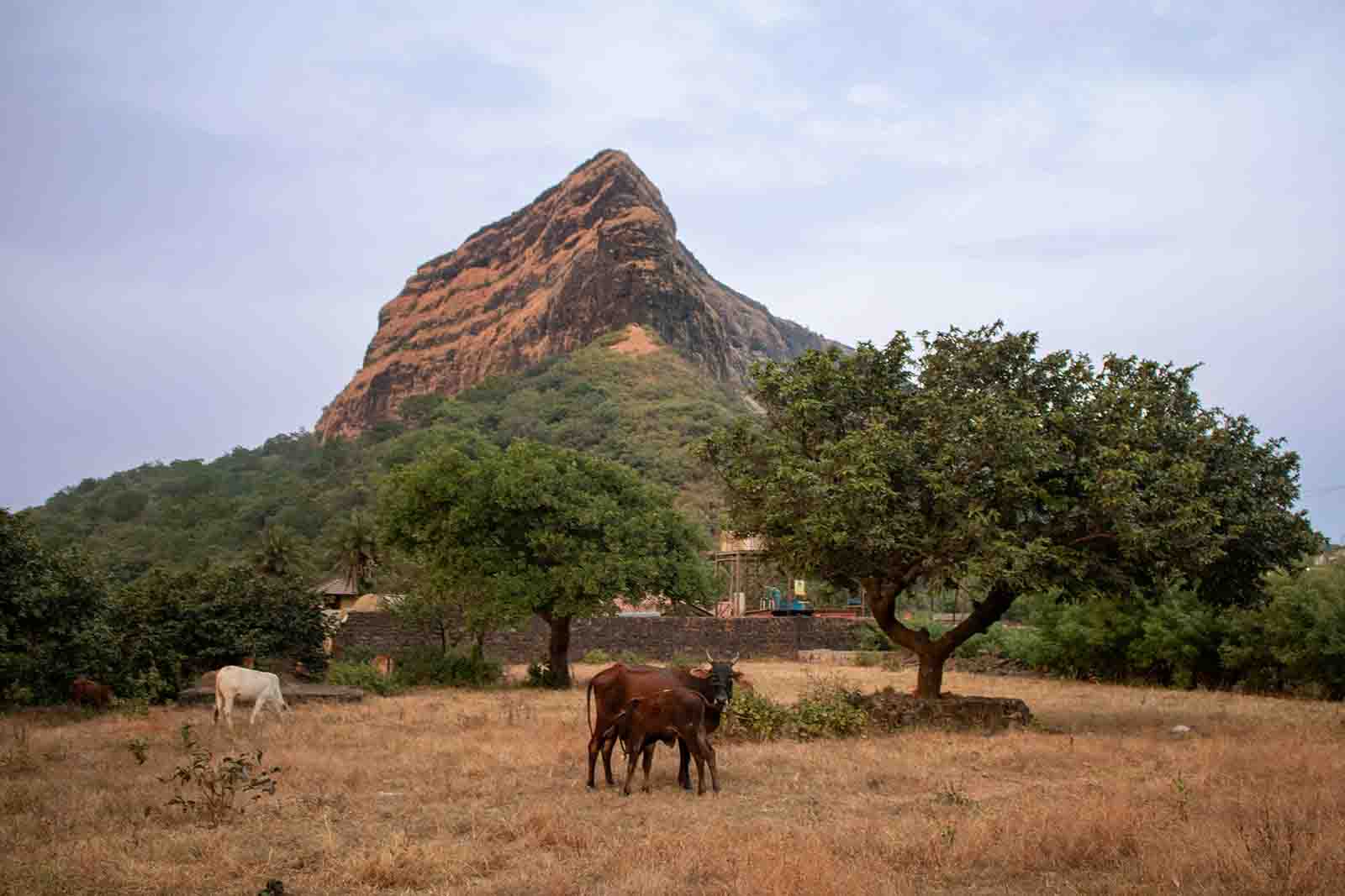 Burkina Faso