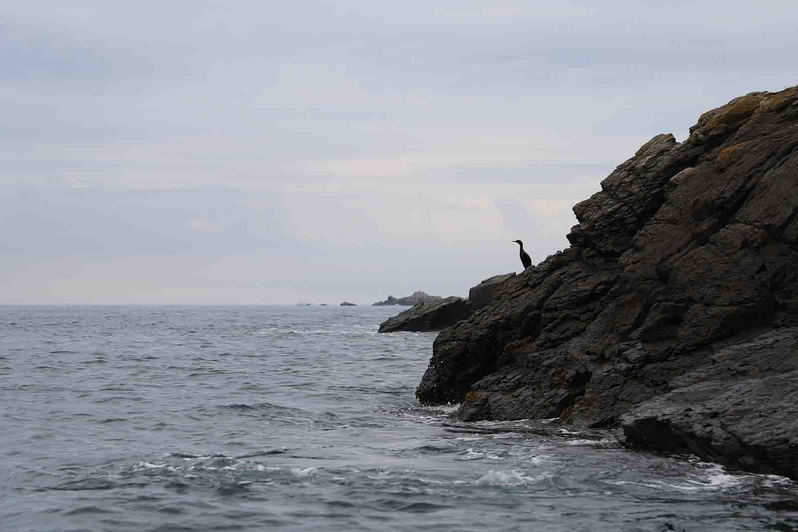 Ile Of Man + Channel Islands