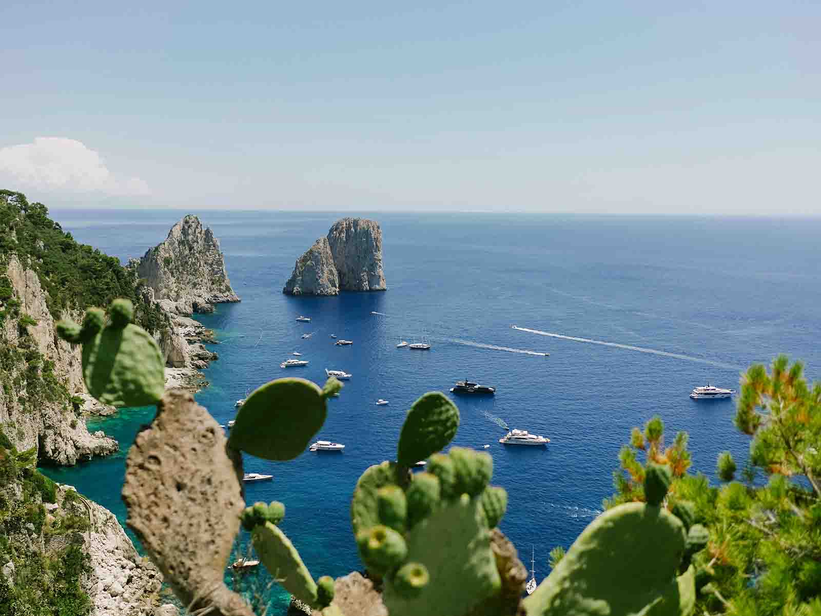 Mediterranean