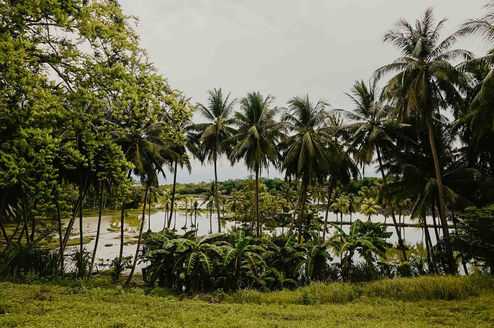 Suriname