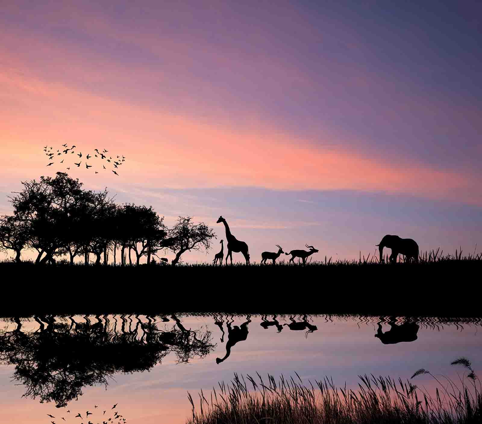 Tanzania