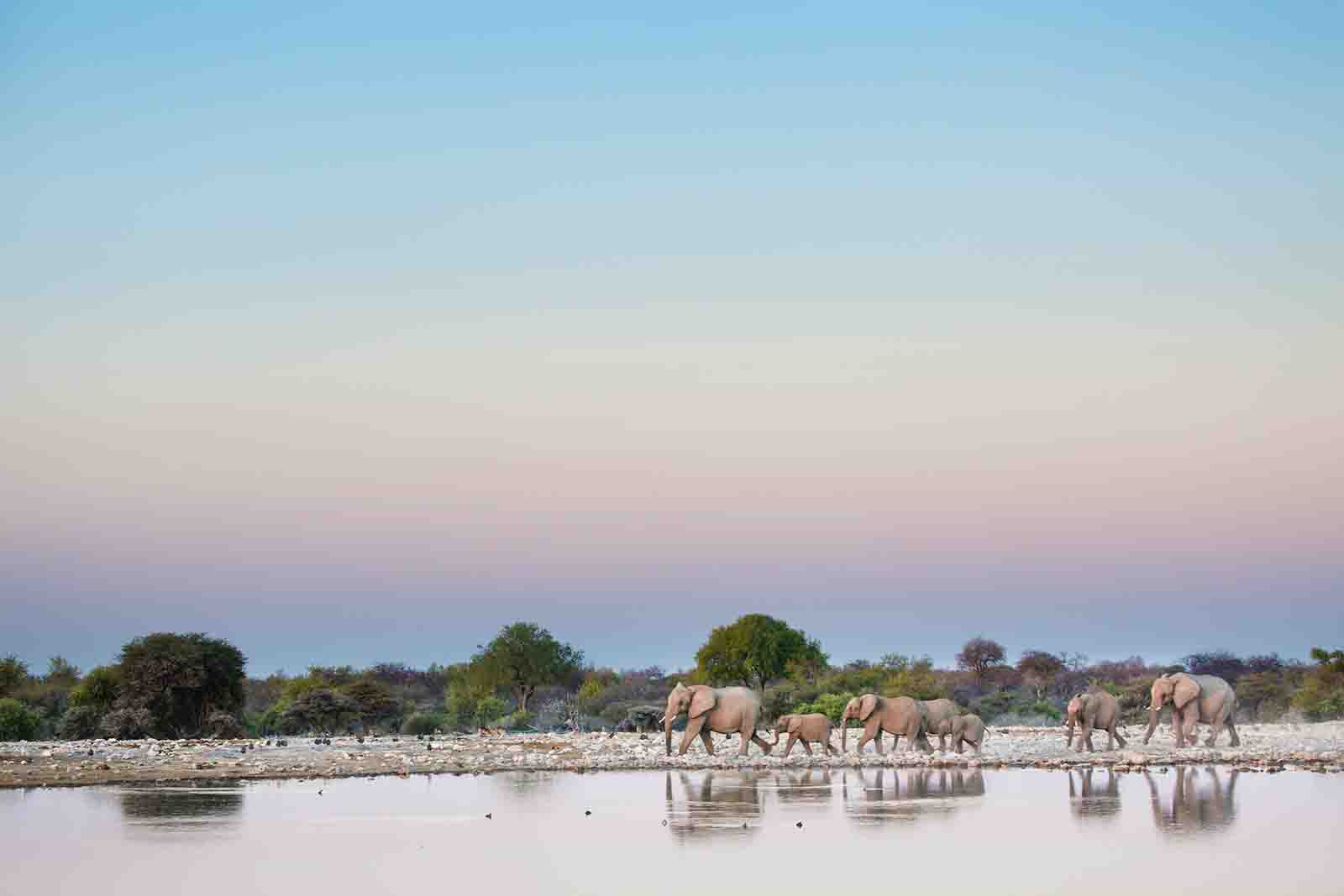 Zambia